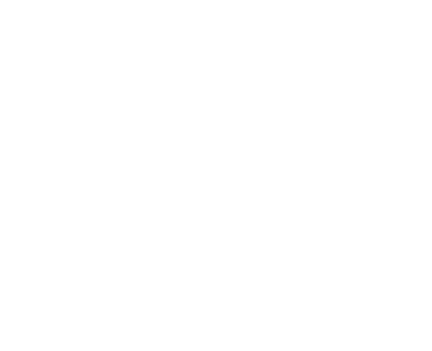 The steering wheel and rings